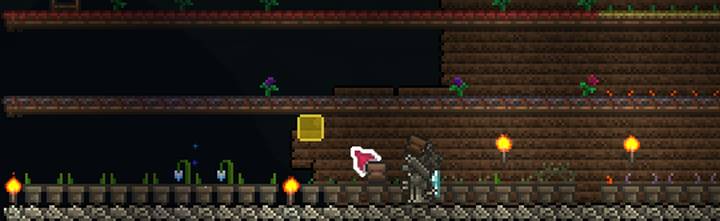 Terraria guide - Planting seeds and growing plants 