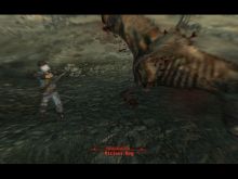 Another nice shot of one of Fallout 3's dogs getting hit by gunfire in VATS