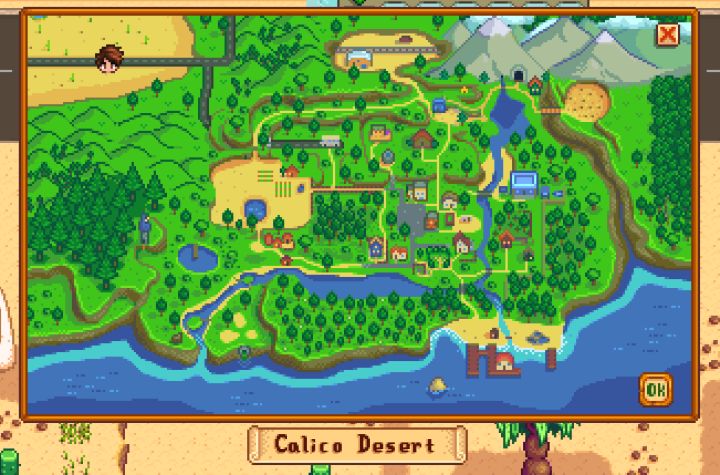 Stardew Valley The Desert Getting There What You Find