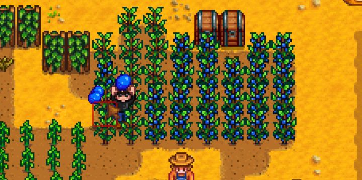 Stardew Valley The Most Profitable Crop To Turn Into Artisan Goods For  Spring 